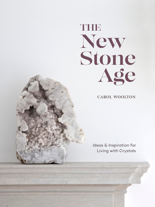 Title details for The New Stone Age by Carol Woolton - Wait list